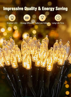 Battery Operated Christmas String Lights, 8ft 20 LED Mini Lights with Timer, Christmas Tree Lights for Indoor Outdoor Bedroom Wedding Party Holiday Xmas Decoration，Warm White（4 Pack）