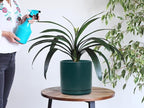 D'vine Dev Set of 2 Plants Pots, 8 Inch Ceramic Planter Pot for Plants with Drainage Hole and Saucer, Teal, 94-V-D-9