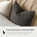 Foindtower Pack of 2 Textured Boucle Throw Pillow Covers Accent Solid Decorative Lumbar Pillow Cases Cozy Couch Cushion Case for Sofa Living Room Home Decor, 12 x 20 Inch,Dark Brown