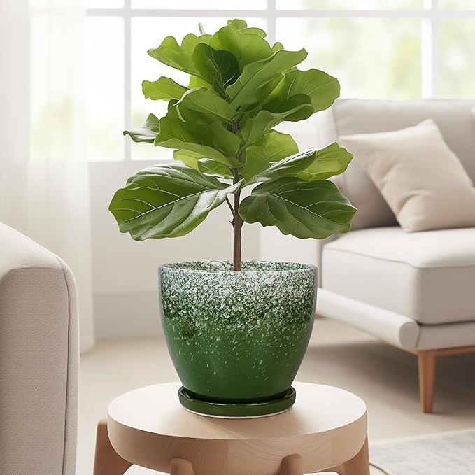 Ceraimc Plant Pot - 6 Inch Planter with Drainage and Plant Tray, Round Succulent Planters, Decorative Flower Pot for Indoor, Room Office Patio House Decor, Gifts for Women Men, Green