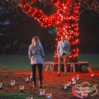 100FT 300 LED Christmas Lights Outdoor, Plug in Christmas Tree Lights with 8 Modes Waterproof, Plug in Green Wire String Twinkle Lights for Indoor Patio Wedding Party Decorations, Red