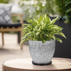 Ceramic Planter - 6 Inch Plant Pot for Indoor Ourdoor Plants, Round Succulent Planter, Decorative Flower Pots with Drainage Hole and Saucer, Home Desk Decor, Housewarming Gifts, White-Black