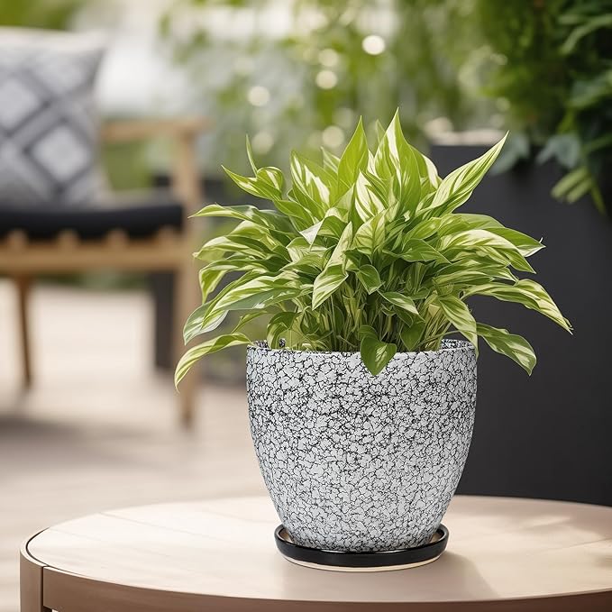 Ceramic Planter - 6 Inch Plant Pot for Indoor Ourdoor Plants, Round Succulent Planter, Decorative Flower Pots with Drainage Hole and Saucer, Home Desk Decor, Housewarming Gifts, White-Black