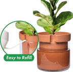 Phoenix Vine 10 Inch Self Watering Planter Pot, Terracotta Clay Pot with Glass Reservoir for Indoor Plants, Herbs, Flowers, Set of 1, 52-A-I-1