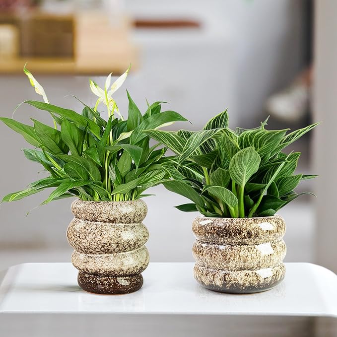 Ceramic 5 inch Plant Pot - Planter for Indoor Plants with Drainage Hole, Flower Pots for Orchid, Succulent,Outdoor Plants, Modern Glaze Planters for Home Office Decor Gift