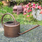 Metal Watering Can 1.3L Modern Style Watering Pot with Handle and Long Spout,Brown Color
