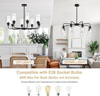 8-Light Modern Black Chandelier with Clear Glass Shades, E26 Base Farmhouse Pendant Light Fixture, Adjustable Swivel Heads Ceiling Lighting, Industrial Chandelier for Dining Room Kitchen Hallway