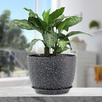 12 inch Big Plant Pots, Plastic Planters with Drainage Holes and Trays, Large Flower Pots for Indoor Outdoor Plants, Modern Decorative Pots for Garden House Plants, Speckled Black