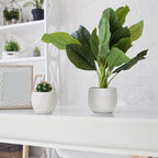 Olly & Rose Barcelona Ceramic Plant Pot Set 2 - White Flower Pots - Indoor & Outdoor Planters (White)