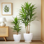 Ceramic Pots for Plants - 10+8+6 Inch Round Modern Planters for Indoor Outdoor Plants, Flower Pots with Drainage Holes and Saucers, Room Patio Decor, Gifts for Plant Lovers, Set of 3, White