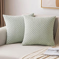 MIULEE Pack of 2 Decorative Throw Pillow Covers 20x20 Inch Soft Boho Striped Textured Corduroy Pillow Covers Modern Farmhouse Home Decor for Couch Bed Sofa Living Room Light Green