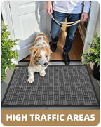 Color&Geometry Front Door Mat Outside Entrance, Heavy Duty Non Slip Low Profile Doormat for Entryway, Trap Dirt and Moisture Welcome Mats All-Weather, Easy Clean, Patio, Garage, 24"x48" Grey
