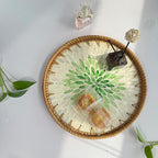 11.8 inch Round Rattan Serving Tray with Mother of Pearl Inlay Wicker Platter Coffee Tray for Coffee Table Decor Coastal Boho Kitchen Storage Display Decorative Basket Food Tray Handmade Wall Decor