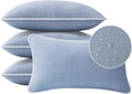 Decorative Outdoor Water Repellent Throw Pillows with Inserts, Set of 4, 20" x12" Pillows for Patio, Backyard, Bed, Couch, and Patio Furniture, Powder Blue
