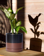 D'vine Dev Set of 2 Plants Pots, 6 Inch Ceramic Planter Pot for Plants with Drainage Hole and Saucer, Black/Speckled Tan, 94-V-C-7