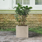 Kante 12 Inch Square Concrete Planter for Outdoor Indoor Home Patio Garden, Large Plant Pot with Drainage Hole and Rubber Plug, Weathered Concrete