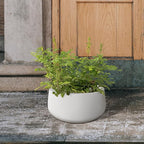 Kante 15.7" Dia Round Concrete Planter, Outdoor Indoor Garden Plant Pots with Drainage Hole and Rubber Plug, Modern Curvaceous Design, Pure White