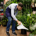 Plant Watering Can - for Home Garden - 1/2 Gallon - White
