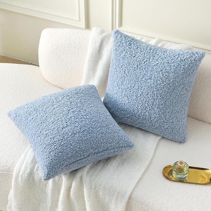 FUTEI Light Blue Throw Pillow Covers 22x22 Inch Set of 2,Furry Faux Fur Teddy Boucle Textured Cushion Covers,Soft Fluffy Decorative Pillow Case,Home Decor for Couch Bed Living Room Office Car