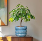 SQOWL 8 Inch Plant Pot with Drainage Hole - Ceramic Pot for Plants Outdoor Planter for Indoor Plants Decorative Plant Pot Medium Flower Pot Round Planter for Bathroom House Decor Blue