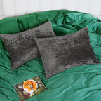 PHF Truly Velvet Pillowcases King Size, No Insert, 2 Pack Ultra Soft Breathable Pillow Shams Covers with Envelope Closure, 20" X 36" Luxury Cozy Warm Fuzzy Flannel Pillow Cases, Charcoal/Dark Grey