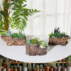 3 Pcs Driftwood Stump Log Concrete Planter Driftwood Planter Succulent Pot Plant Pot for Succulents for Outdoor Indoor Home Patio Garden Decoration (Classic)