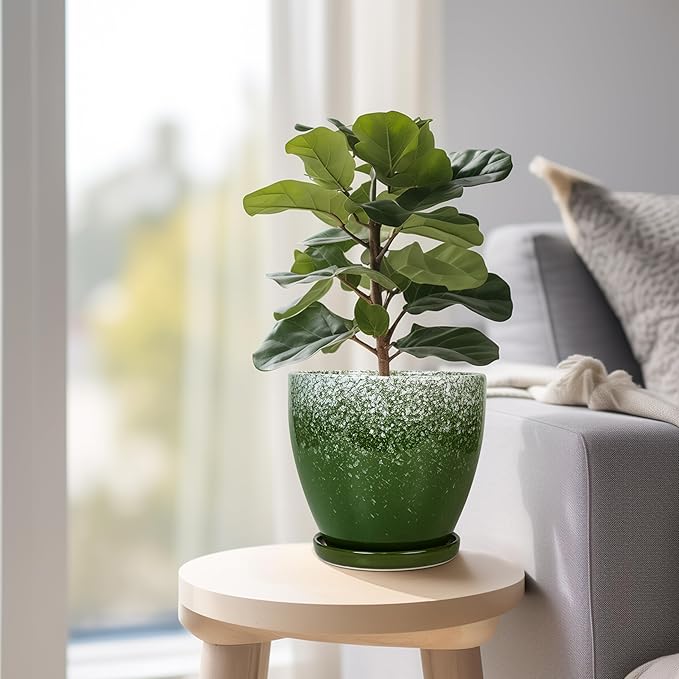Ceraimc Plant Pot - 6 Inch Planter with Drainage and Plant Tray, Round Succulent Planters, Decorative Flower Pot for Indoor, Room Office Patio House Decor, Gifts for Women Men, Green