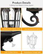VIANIS Outdoor Lights for Porch, Black Dusk to Dawn Outside Lighting with Gold Trim, Porch Lights Outdoor with Tempered Water Ripple Glass for Garden, Patio, Entryway, Waterproof Anti-Rust
