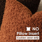 Foindtower 2 Pieces 18x18 Inch Burnt Orange, Faux Fur Throw Pillow Cover Accent Sherpa Furry Pillow Cover Fuzzy Soft Pillowcases Cozy Sheepskin Decorative Fleece Cushion Case for Bed Couch Living Room