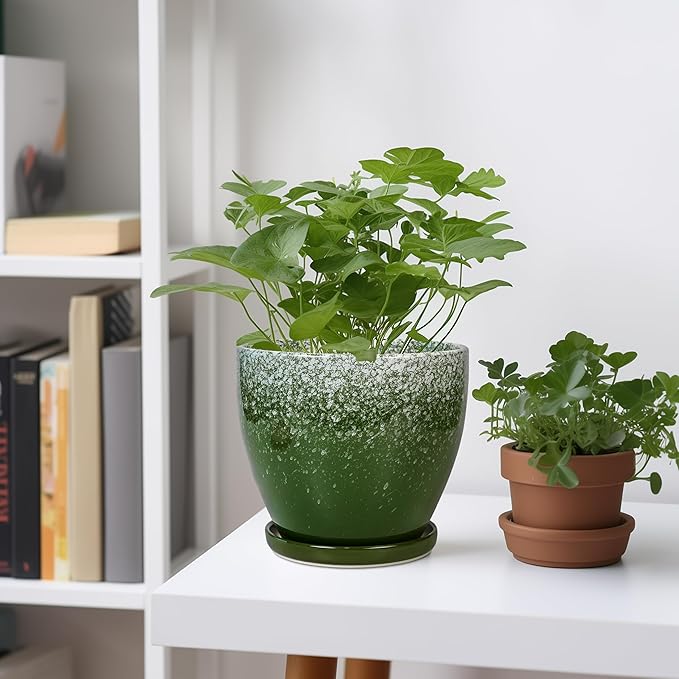 Ceraimc Plant Pot - 6 Inch Planter with Drainage and Plant Tray, Round Succulent Planters, Decorative Flower Pot for Indoor, Room Office Patio House Decor, Gifts for Women Men, Green