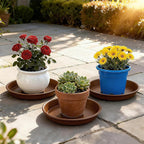 TITE Plant Saucer 12 inch, Heavy Large Planter Durable Thicker Plastic Plant Trays for Indoors and Outdoor, Plant Saucer Drip Trays,Brown (12" - 3 Pack)