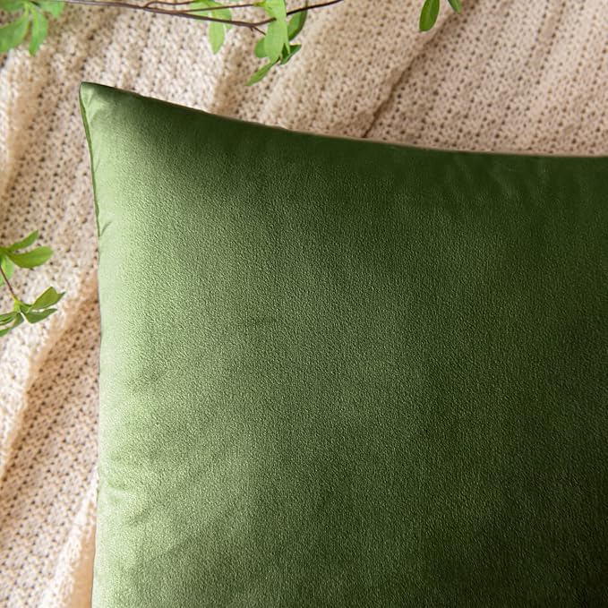 EMEMA Pack of 2 Velvet Throw Pillow Covers Decorative Square Pillowcase Soft Solid Cushion Case for Sofa Bedroom Chair Car 18x18 Inch Moss Green