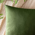 EMEMA Pack of 2 Velvet Throw Pillow Covers Decorative Square Pillowcase Soft Solid Cushion Case for Sofa Bedroom Chair Car 18x18 Inch Moss Green