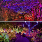 Albelt Smart Color Changing Halloween Lights, Christmas Decoration Lights with Remote & Timer, 66 FT 200 LED RGB Twinkle Fairy String Light Waterproof for Indoor Outdoor Fall Xmas Tree Decor