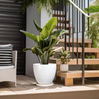 Ceramic Planter - 10 Inch Plant Pot with Drainage Hole and Tray, Flower Pot Planters for Indoor Plants, Modern Room Garden Patio Bathroom Living Room Porch Home Decor， White