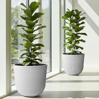 WORTH Garden Round Large Planter Pot Set of 2-17.5" Dia x 15.5" H - Durable Plastic White Plant Tree Pots with Vertical Stripe Textured Finish, Drainage Hole for Indoor, Outdoor, Front Porch, Patio
