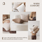 Foindtower Set of 2 Curly Teddy Wool Pillow Covers Decorative Boucle Textured Lumbar Throw Pillow Faux Fur Pillowcases Sheepskin Cushion Case for Sofa Bedroom Car 12"x20" Chocolate