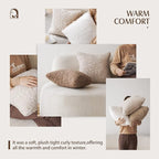 Foindtower 2 Pieces 22x22 Inch Chocolate, Faux Fur Throw Pillow Cover Accent Sherpa Pillow Fuzzy Soft Pillowcases Sheepskin Decorative Fleece Cushion Case for Bed Couch Living Room
