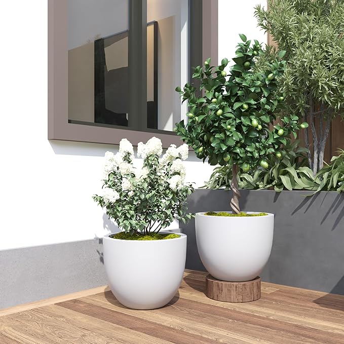 DTY Signature Mount Belford Lightweight and Durable Modern Fiberstone Egg Shaped Planter for Indoor/Outdoor Drainage Hole & Rubber Plug Weather Resistant 12" H x 15" Dia, 12.8" Opening - Medium, White