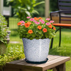12 Inch Pot for Plants- Ceramic Planter Indoor Outdoor, Round Large Plant Pots with Drainage Hole and Saucer, Decorative Flower Pots, Modern Planter, Garden Decor, Plant Lovers Gifts, Green