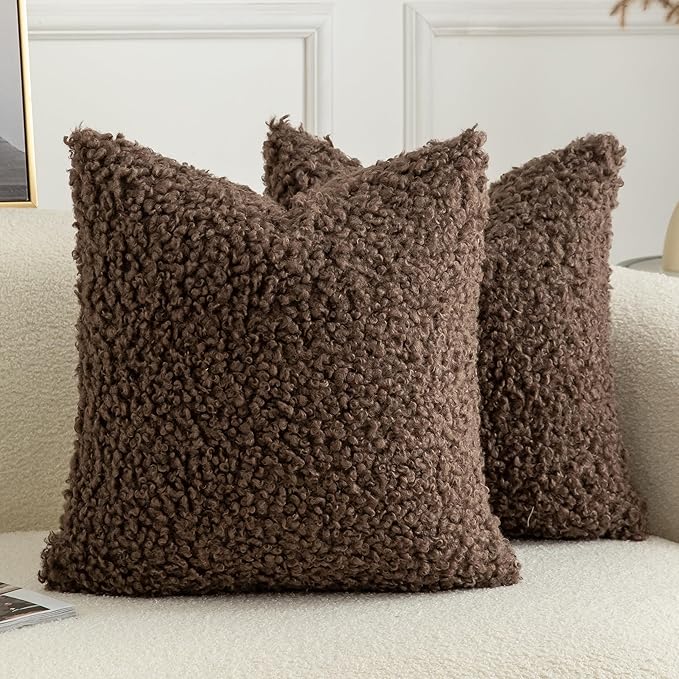 Pack of 2 Curly Teddy Wool Faux Fur Throw Pillow Covers Fuzzy Accent Soft Sherpa Pillowcases Sheepskin Fleece Decorative Cushion Case for Sofa Couch Living Room 20x20 Inch Chocolate
