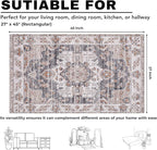 Washable Soft Small Boho Area Rugs, Rags Rug, Printed Carpet Chennile Rugs for Living Room 27x45 inch Dk Grey Rust Multi,Machine Washable Printed Rugs - 30% Cotton, 70% Polyester