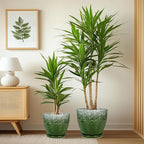 Ceramic Planters 3 Pack - 10 Inch 8 Inch 6 Inch Plant Pots for Indoor Outdoor, Round Decorative Flower Pots with Drainage Holes and Saucers, Garden Home Decor, Gift for Women Men, Green