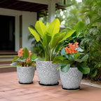 Ceramic Pots for Plants - 10+8+6 Inch Round Flower Pots with Drainage Holes and Saucers, Decorative Planters for Indoor Outdoor, Porch Decor, Housewarming Gifts, Set of 3, White-Black