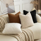 Pack of 2 Curly Teddy Wool Faux Fur Throw Pillow Covers Fuzzy Accent Soft Sherpa Pillowcases Sheepskin Fleece Decorative Cushion Case for Sofa Couch Living Room 20x20 Inch Black