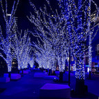 Christmas String Lights Plug in,33FT 100 LED String Lights with 8 Modes & Timer, Xmas Decorations for Trees Wreath, Outdoor Indoor Yard Garden Party Decor, Blue