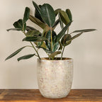 Creative Co-Op Coastal Embossed Textured Stoneware Planter, Metallic Gold