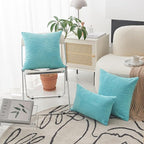 Home Brilliant Turquoise Pillow Covers Striped Corduroy Plush Texture Velvet Euro Sham Throw Pillows for Bed Patio, 24x24 inch, Teal