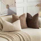 Pack of 2 Curly Teddy Wool Faux Fur Throw Pillow Covers Fuzzy Accent Soft Sherpa Pillowcases Sheepskin Fleece Decorative Cushion Case for Sofa Couch Living Room 18x18 Inch Chocolate