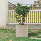 Kante 12 Inch Square Concrete Planter for Outdoor Indoor Home Patio Garden, Large Plant Pot with Drainage Hole and Rubber Plug, Weathered Concrete